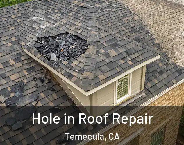  Hole in Roof Repair Temecula, CA